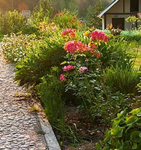 Leon Valley Landscaping