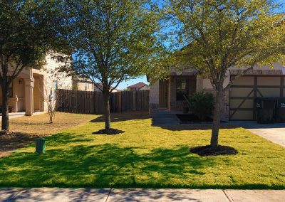 landscaping work