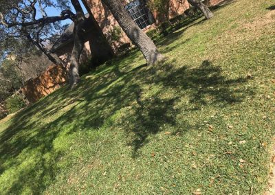 San Antonio landscaping