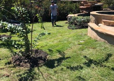 professional landscapers