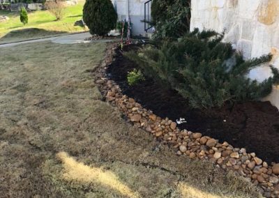 grass replacement