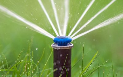 Choosing An Irrigation System